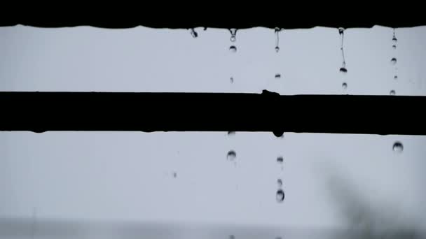 Gotas Lluvia Una Pared Bambú Contra Oscuro Primer Plano Fuerte — Vídeo de stock