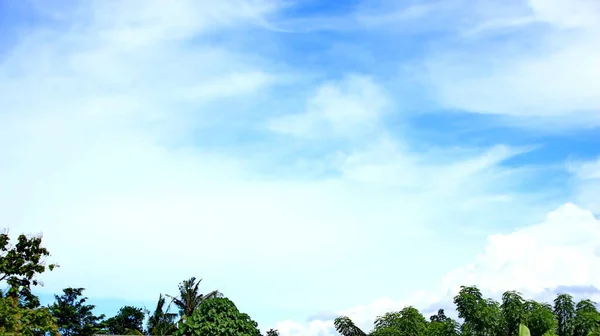 Paisagem Natural Árvores Nos Campos Com Fundo Céu Azul Nuvens — Fotografia de Stock