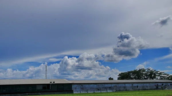 Natural Scenery Trees Fields Background Blue Sky Unique White Clouds — Stock Photo, Image