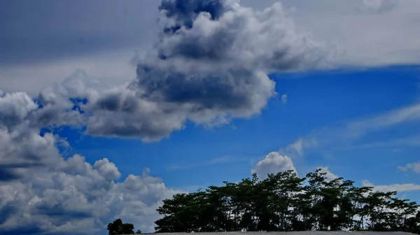 Natural Scenery Trees Fields Background Blue Sky Unique White Clouds — Stock Photo, Image