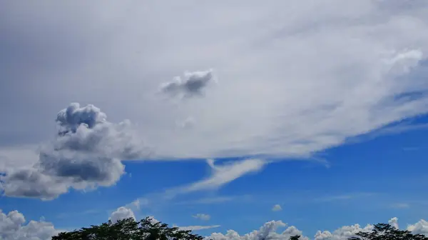 Natural Scenery Trees Fields Background Blue Sky Unique White Clouds — Stock Photo, Image