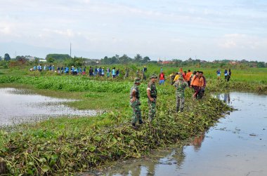 30 Ocak 2018, Endonezya, Batang / Jawa Tengah Hamamböceklerinden nehri temizleyin.