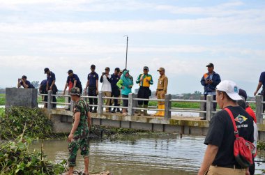 30 Ocak 2018, Endonezya, Batang / Jawa Tengah Hamamböceklerinden nehri temizleyin.