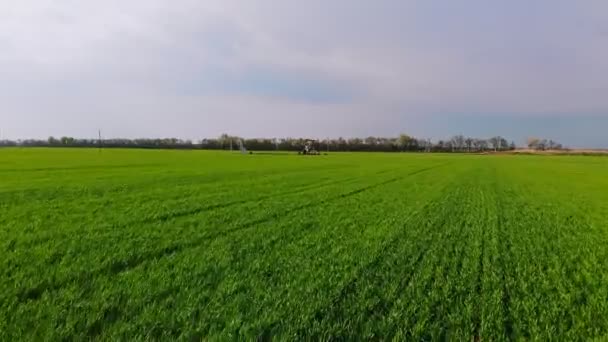 Werkende oliepompen tegen zon. Oliepompkrik. olieveld met schommelende olie — Stockvideo