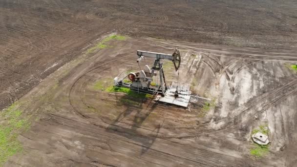 Working oil pumps against sun. Oil pump jack. oil rocking oil field — Stock Video