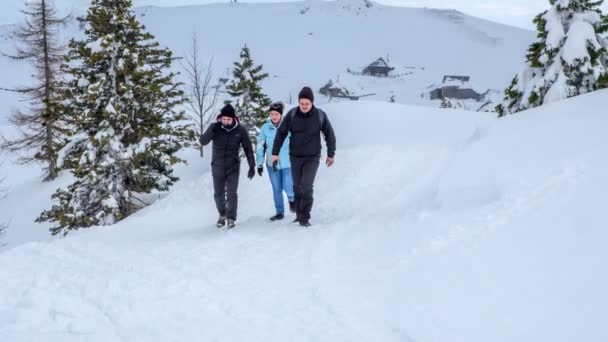 3人が雪の上を歩いている 自然は美しく 今年のこの時期に白です — ストック動画