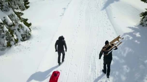 Adam Kızaklarını Yokuş Yukarı Çekiyorlar Güneşli Bir Kış Günü Her — Stok video