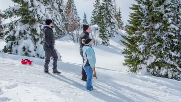 三个人站在山顶上 站在雪地上 他们指向远处的什么东西 这是一个阳光灿烂的冬日 — 图库视频影像