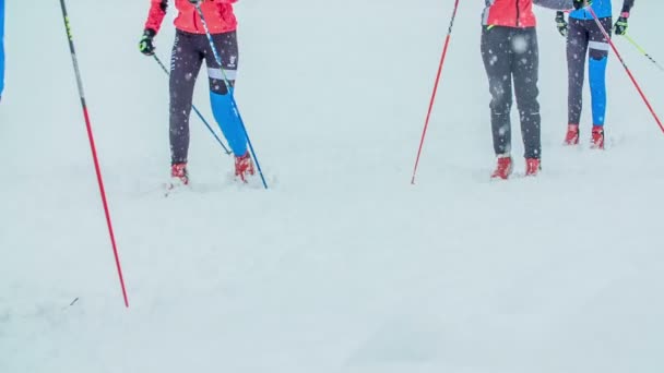 今天是越野滑雪练习的寒冷冬日 — 图库视频影像