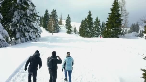 三个人在雪地上走着 他们停了一会 透过望远镜看了看 现在是冬天了 — 图库视频影像
