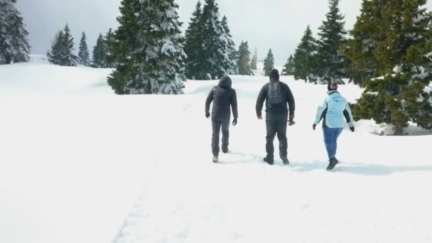 三个人走在雪地的乡间小路上 他们在室外新鲜空气上呆了一段时间 给自己的身体充电 — 图库视频影像