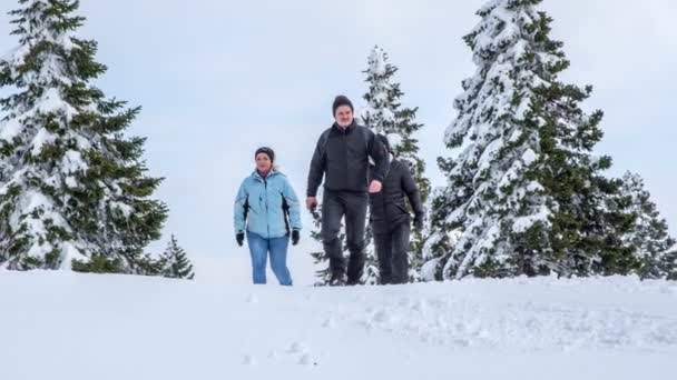 3人は丘の上まで歩いてきて 遠くで何かを観察している 風景は雪で覆われている — ストック動画