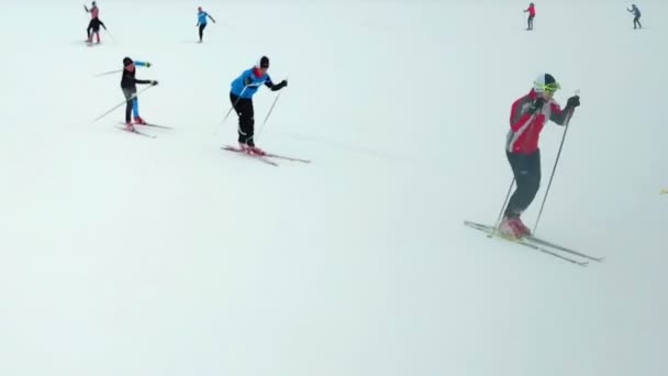 人们正沿着不同的方向越野滑雪 这是一个寒冷的冬日 他们正在为争夺冠军而练习 — 图库视频影像