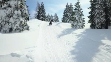 Güzel ve güneşli bir kış günü. Üç kişilik bir grup tepeden aşağı kayarken eğleniyor ve kar aktivitelerinin tadını çıkarıyorlar..
