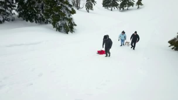 三个人在往山上拉雪橇 现在是冬季 人们喜欢在外面的雪地上消磨时光 — 图库视频影像