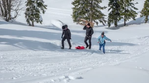 Three People Walking Uphill Carrying Sleigh Nice Winter Day Having — Stock Video