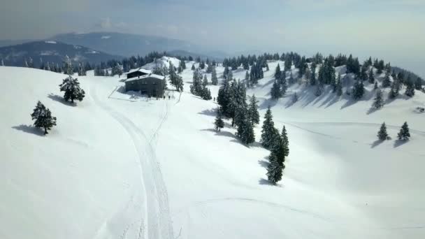 Día Precioso Invierno Paisaje Está Cubierto Nieve Todo Tan Hermoso — Vídeos de Stock