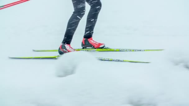 Una Persona Passa Accanto Altro Sciatore Che Piedi Sulla Neve — Video Stock