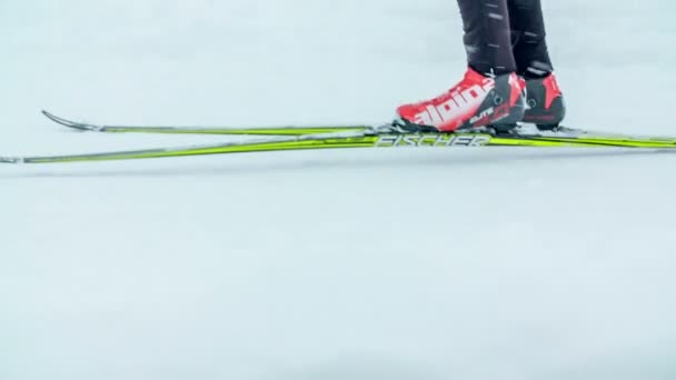 这个人在越野滑雪时穿着非常有名的滑雪靴 这是一个寒冷多雪的冬日 — 图库视频影像