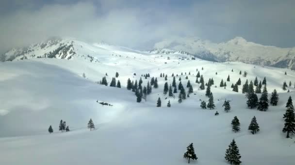 美しい雪の山があり 近くの丘にはいくつかの木が生えています 冬の時間なので自然は穏やかで 景色は雪で覆われています — ストック動画
