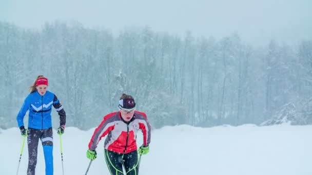 这两个人是一个接一个的越野滑雪 这是一个寒冷的冬日 — 图库视频影像