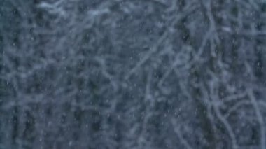 Güzel kar taneleri yere dökülüyor. Kış mevsimindeyiz ve manzara çok sakin ve huzurlu..