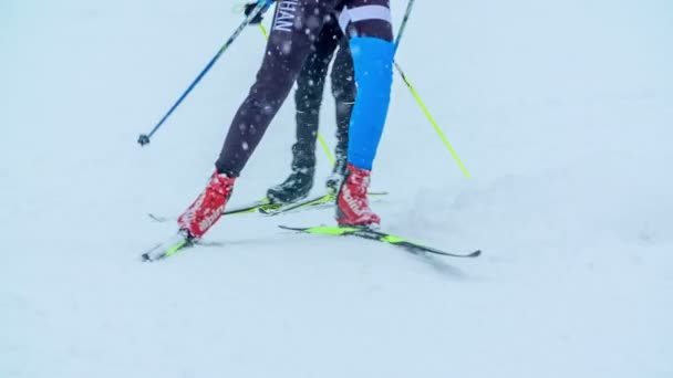 Una Muy Buena Técnica Para Esquiar Están Practicando Esquí Fondo — Vídeo de stock