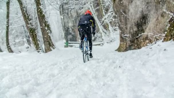 Okresie Zimowym Człowiek Jeździ Rowerze Pięknej Przyrodzie Śnieg Pada — Wideo stockowe