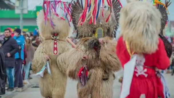 Kurents Zbierają Również Chusteczki Podczas Parady Bardzo Głośne Dzwonkami Wokół — Wideo stockowe
