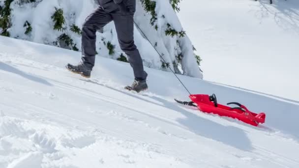 一个男人正拉着一辆红色雪橇上山 另一个人将在他前面飞奔下山 现在是冬天了 — 图库视频影像