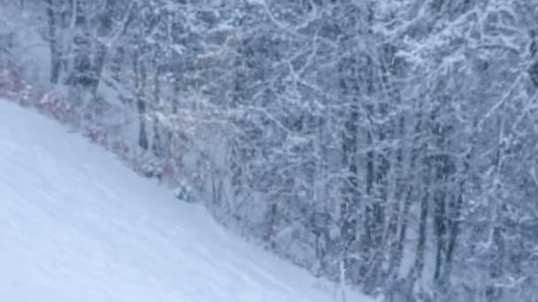 天在下雪 大自然看起来很美 山上覆盖着雪和森林 — 图库视频影像
