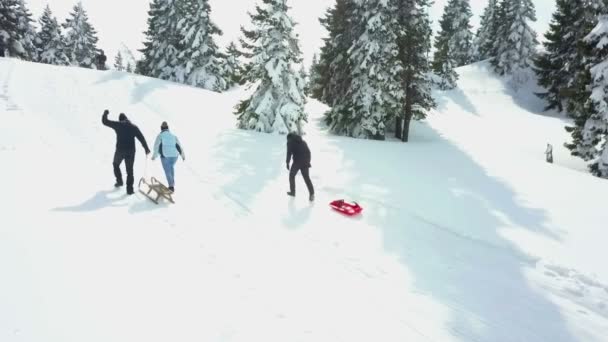 Grupo Adultos Está Caminhando Até Topo Colina Eles Vão Então — Vídeo de Stock