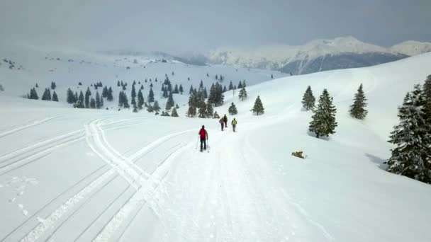 Een Paar Mensen Wandelen Sneeuw Genieten Van Natuur Frisse Lucht — Stockvideo