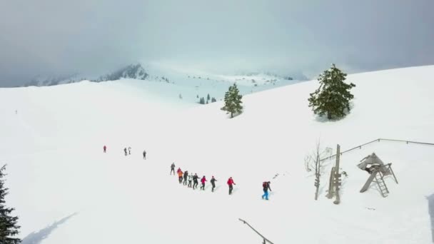 Grupo Pessoas Está Caminhando Juntos Uma Fileira Estão Subindo Montanha — Vídeo de Stock