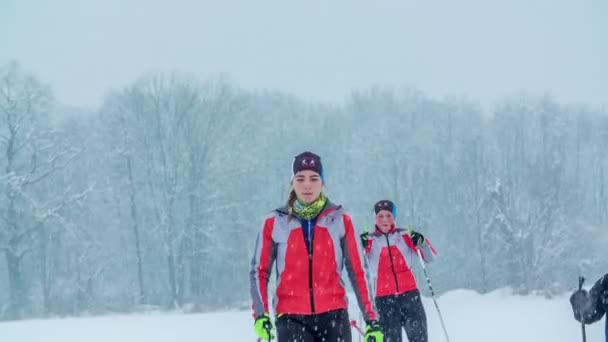 Young People Cross Country Skiing Cold Winter Day Also Snowing — Stock Video