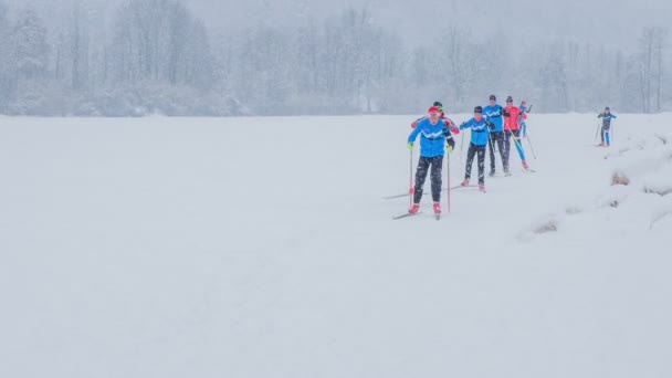 Grupp Ungdomar Åker Längdskidor Snöig Vinterdag Vädret Dimmigt Och Det — Stockvideo