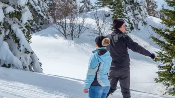 一个男人和一个女人指着什么东西 他们站在山上 虽然今天是寒冷的冬日 但阳光灿烂 — 图库视频影像