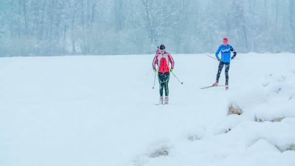 これらの木の人々はクロスカントリースキーであり 彼らは非常に焦点を当てています 冬だし雪もたくさん降ってる — ストック動画