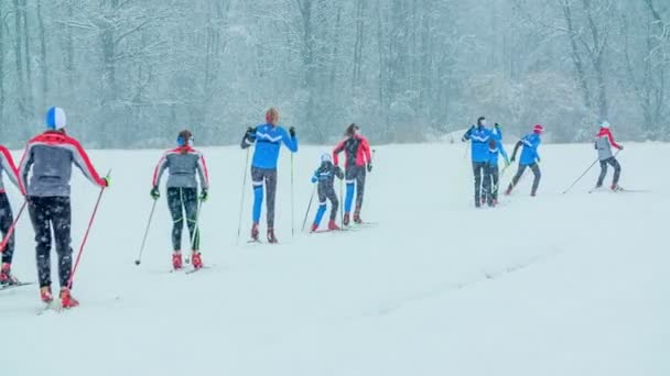 各种年龄的人中 越野滑雪的人较少 下着雪 天气条件也不是最好的 — 图库视频影像