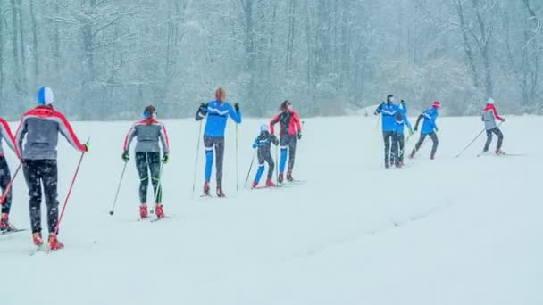 Mindre Grupp Människor Alla Åldrar Åker Längdskidor Det Snöar Liksom — Stockvideo