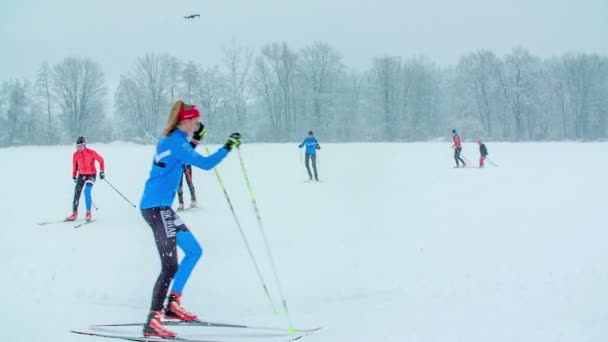 山坡上有很多人在滑雪 这是一个寒冷的冬日 天也是雾 — 图库视频影像