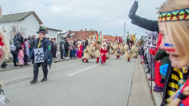 Trwa Parada Kurta Jeden Kurtów Uściska Dłoń Jednemu Małych Chłopców — Wideo stockowe