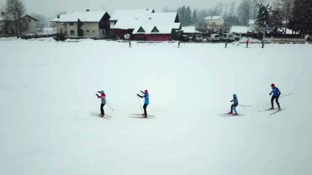 Pessoas Estão Treinando Juntas Esqui Cross Country Dia Nebuloso Inverno — Vídeo de Stock