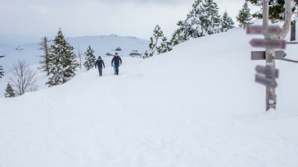 3人が上り坂で目を覚まし 看板に近づいている 自然は雪で覆われています — ストック動画