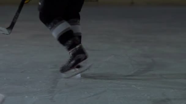 Gibt Viele Eishockeyspieler Der Eishalle Die Für Ihr Spiel Üben — Stockvideo