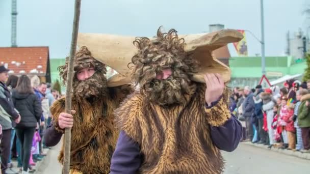 Two Men Having Long Beard Wearing Furs Carrying Tree Trunk — Stockvideo