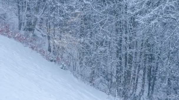 Ist Ein Wunderschöner Schneebedeckter Weg Und Die Natur Wirkt Sehr — Stockvideo