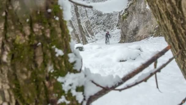 冬だし雪も降ってるしかしこんな風に見えるサイクリストは全く気にしない — ストック動画