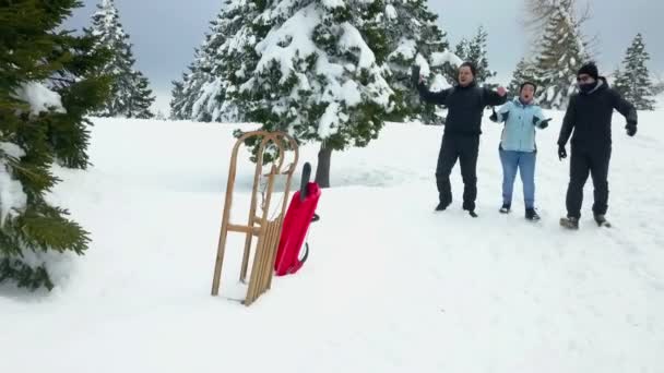 Skupina Mladých Lidí Najde Dvě Saně Chce Použít Jsou Opravdu — Stock video