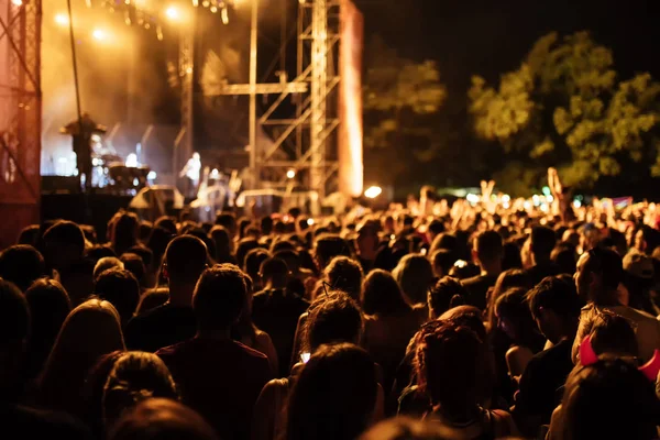 Les gens au concert la nuit — Photo